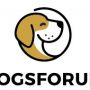 Dog forum