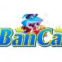 banca28comvc