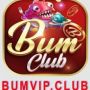 Bumvip