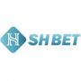 Shbet Website