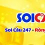 Soi Cầu 247