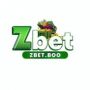 ZBet Casino