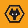 Wolves FC VN