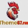 THOMO67