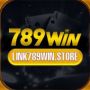 link789winstore