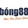 Bong88