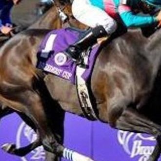 https://breeders-cup.com/