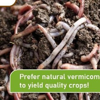 SS Vermicompost Industry