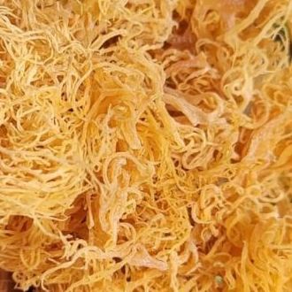 Wildcrafted Organic Sea Moss