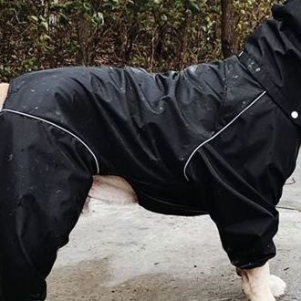 Rainproof Dog Coats