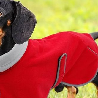 Dachshund Coats