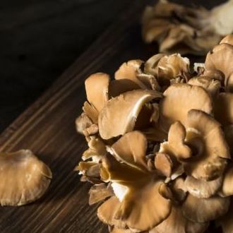 Maitake Functional Mushrooms