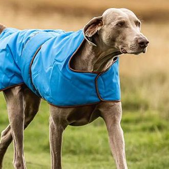 Dog Rain Coats