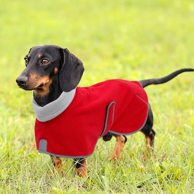 If you feel your dog coughs or has a runny nose after the walk, you can opt for customised dog coats. Dog coats are fit for all breeds; people can measure their dog's dimensions and order the coat online.https://www.doggiecoats.co.uk/products/dachshund-dog-coat-fleece-lined-step-in-waterproof-raincoat.html